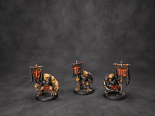Load image into Gallery viewer, War of the Ring Compatible Bannermen Miniatures for Free People and Shadow player
